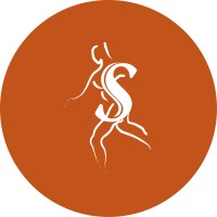 Rocky Mountain Spine & Sport